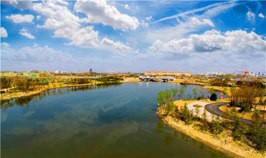 湿地公园20_副本.jpg 湿地公园20_副本.jpg